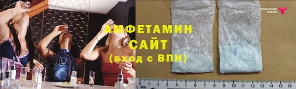 ПСИЛОЦИБИНОВЫЕ ГРИБЫ Абаза